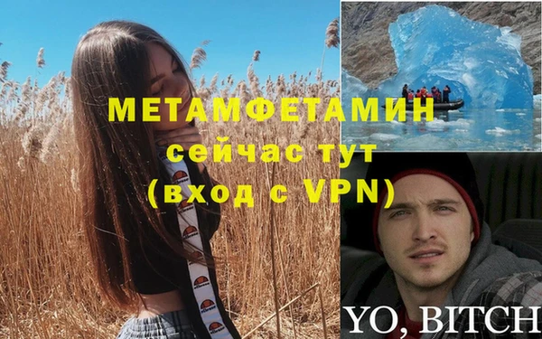 крисы Абаза