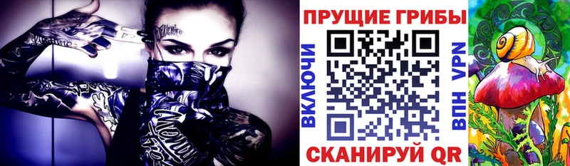 купить   МЕГА онион  Галлюциногенные грибы мицелий  Кумертау 